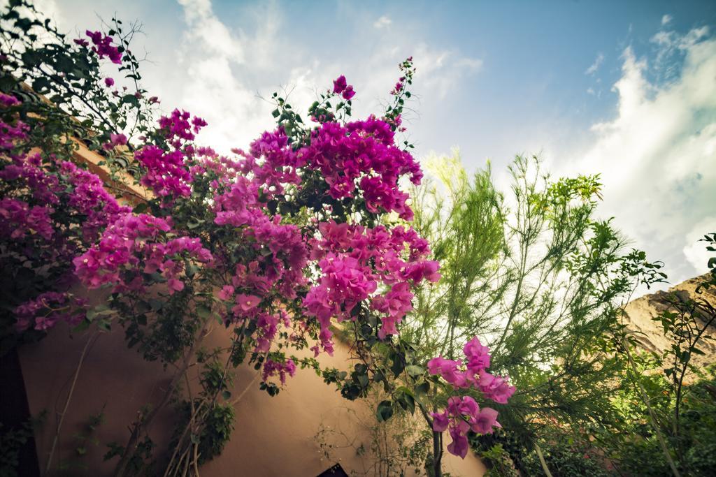 Bed and Breakfast La Terrasse des Delices Fint Exterior foto